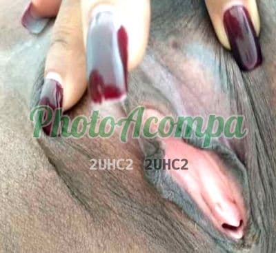 Acompanhante morena em São José dos Campos (5) — Dandara Brandão