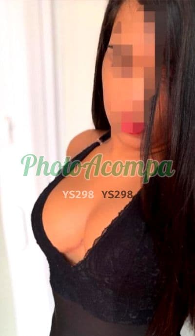 Acompanhante morena em Niterói — Gabi, foto 4