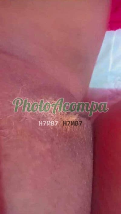 Acompanhante em Tubarão com beijo grego (2) — Isadora