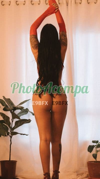 Acompanhante magra em Campo Grande (5) — Luiza Amorim