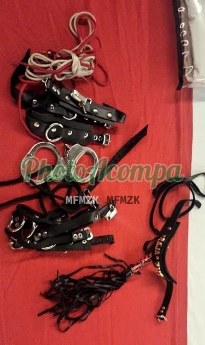 Acompanhante em São Paulo — sado duro, foto 6 de Mistress Rajamel