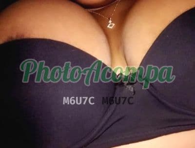 Foto 4: Acompanhante em Porto Alegre — sexo anal, Priscila Moreno
