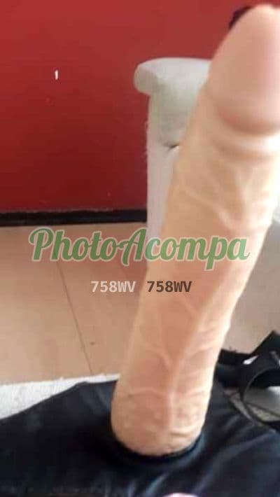 Acompanhante em Curitiba com beijo na boca (6) — Roberta