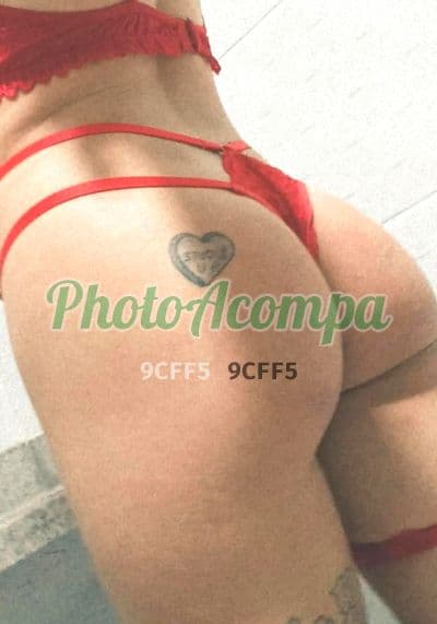 Foto 5: Acompanhante depilada em ABC Paulista — Sophia Bragança