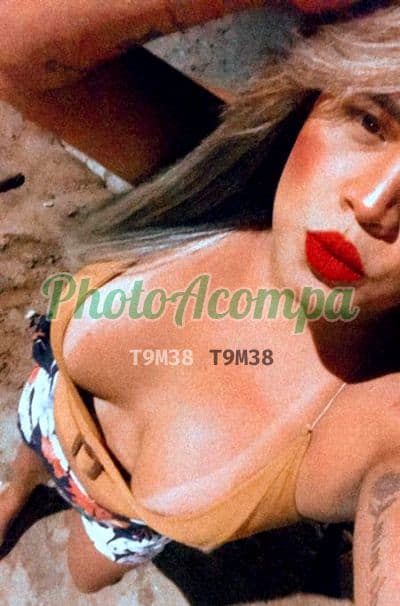 Travesti acompanhante em Paulista com garganta profunda (4) — Amanda Amorim