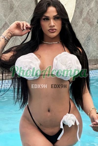 Travesti acompanhante em Belo Horizonte — garganta profunda, foto 6 de Amayla Fernandes