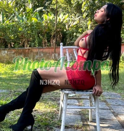Travesti acompanhante foto sem retoque em Niterói — Anita, foto 5