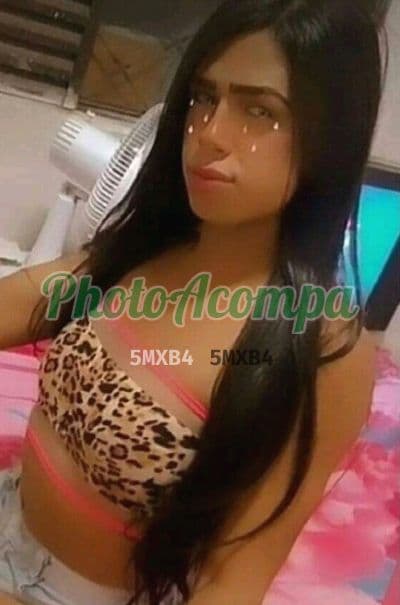 Travesti acompanhante foto verificada em Olinda (3) — Anjinha