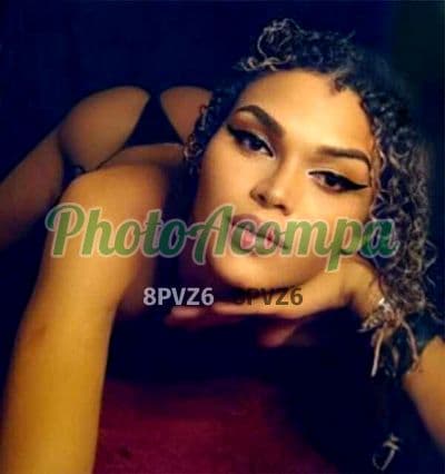 Travesti acompanhante em Belford Roxo com beijo na boca (2) — Aryanne Beatriz
