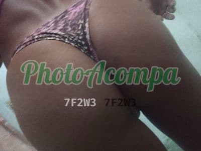 Travesti acompanhante foto verificada em Nova Odessa — Barbara Britney, foto 3