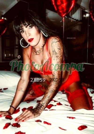Travesti acompanhante foto verificada em Ribeirão Preto, foto 3 de Clara Prado