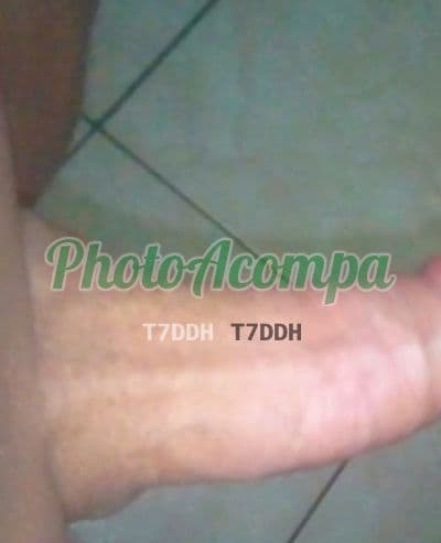 Travesti acompanhante foto verificada em Olinda, foto 3 de Eduarda