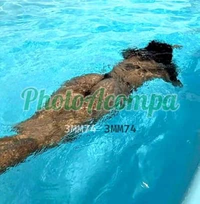Foto 2: Travesti acompanhante em Guarujá — beijo na boca, Eloíza Santos