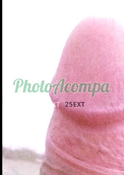 Travesti acompanhante foto real em Natal (2) — Gisella