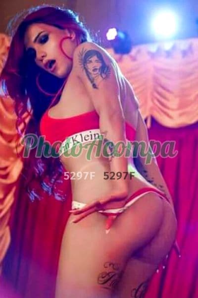 Travesti acompanhante foto sem retoque em Porto Alegre, foto 5 de Laviny Hoffmann