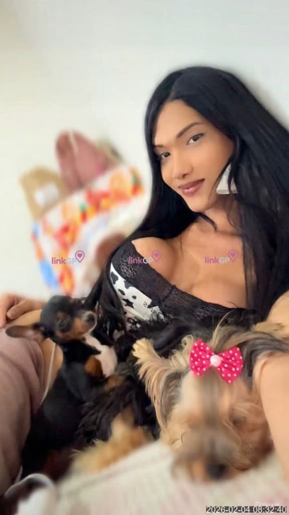 Ninfeta Trans, Chamada De Vídeo — travesti em Fortaleza