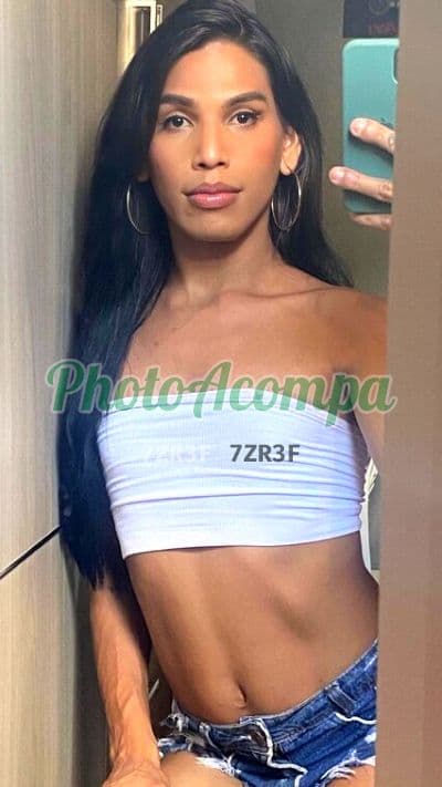 Travesti acompanhante foto verificada em Praia Grande — Pérola, foto 3