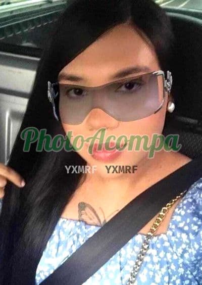 Travesti acompanhante em Campinas com garganta profunda (4) — Pricila Dotada