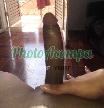 Travesti acompanhante foto sem retoque em Campinas — Pricila Dotada, foto 5