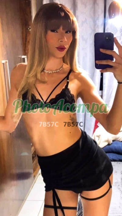 Travesti acompanhante foto sem retoque em Ribeirão Preto — Sabrina Sabino, foto 5