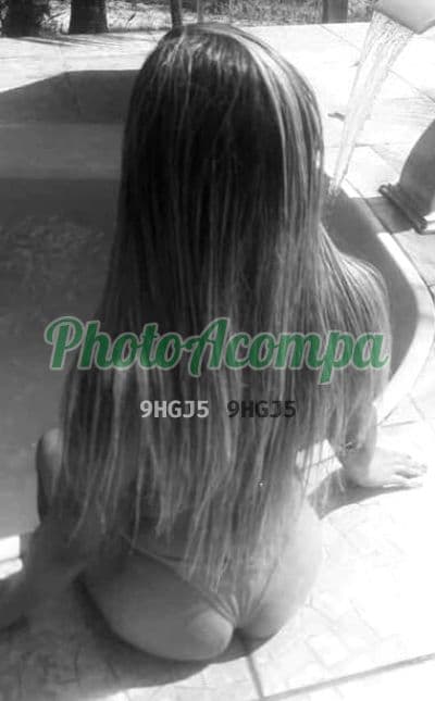 Travesti acompanhante foto verificada em Niterói (3) — Sophia