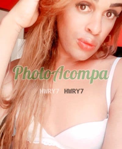 Travesti acompanhante foto verificada em Rio de Janeiro (3) — Ysabella Carboni acc cart