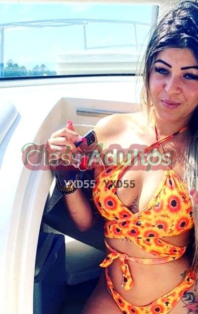 Sthella gaucha — acompanhante em Matinhos