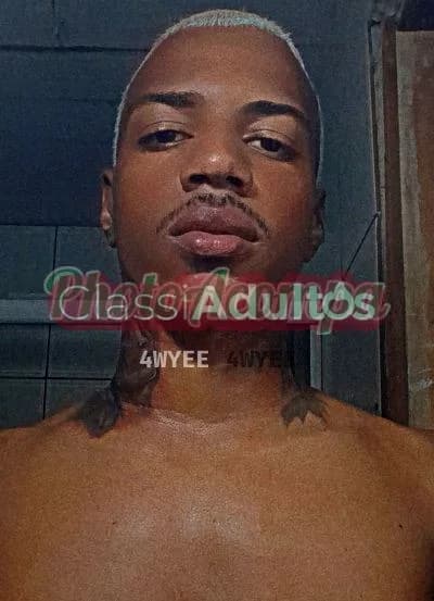 Tasmânia — acompanhante masculino no Rio de Janeiro